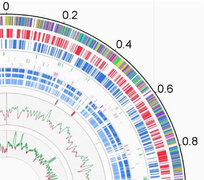 3 December: Genome of Arthrobacter arilaitensis.