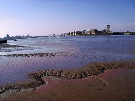 Quicksand on the Thames