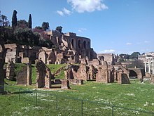 The ruins of the Domus Tiberiana rising above the Forum and the House of the Vestals Rione X Campitelli, 00186 Roma, Italy - panoramio - Laci30 (32).jpg