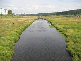 River Turya (inflow of the Sosva).jpg