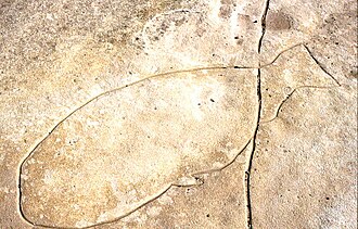 Aboriginal rock carving Rock carving in Sydney Australia 02.jpg