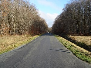 Carretera departamental 36 en Sainte-Sévère-sur-Indre en 2012.