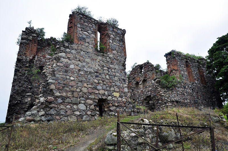 File:Ruiny zamku Papowo Biskupie AW.jpg