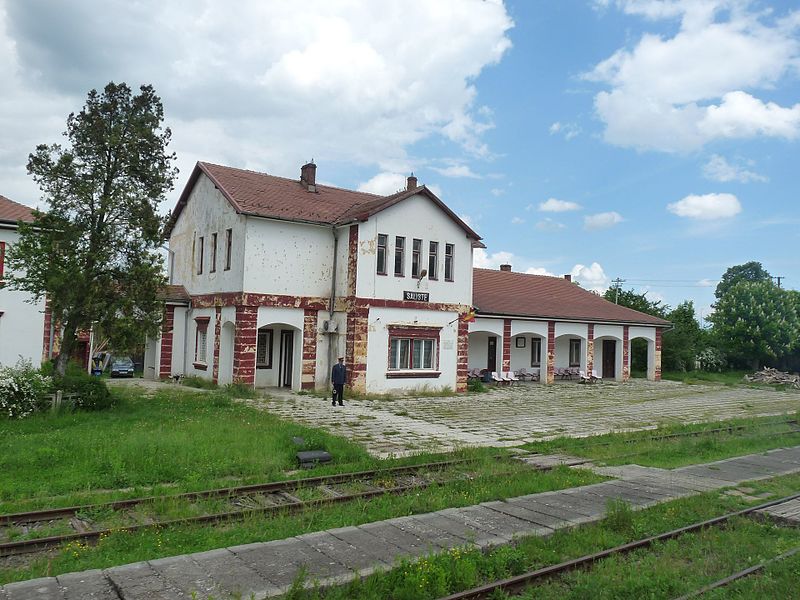 File:Săliște station.jpg