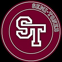 ST-Logo 2016.jpg