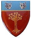 SWATF era Keetmanshoop Commando Are Force Unit emblem.jpg