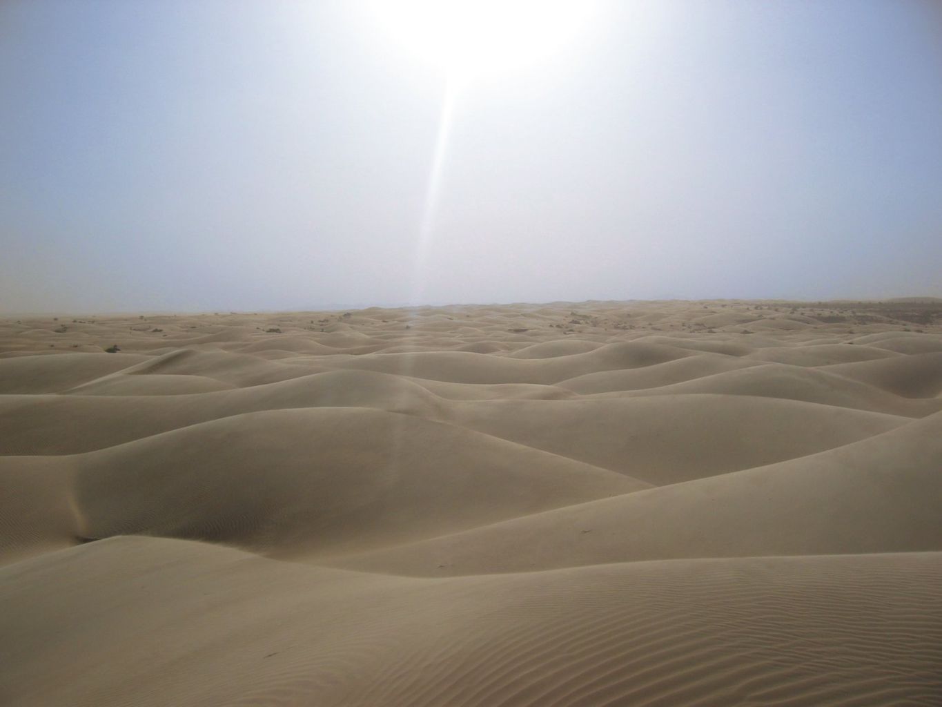 1365px-Sahara_desert.jpg