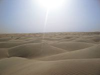 Sand dunes in the Sahara desert (photography taken in January)