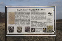 Informationstafel des Salzgrabens Salzdahlum