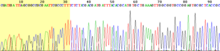 220px Sanger sequencing read display