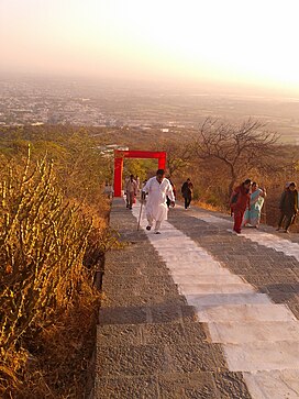 Satrunjaya Stairway.jpg