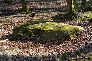 Schleswig-Holstein, Tensbüttel-Röst, Naturdenkmal Harkestein NIK 1650.JPG