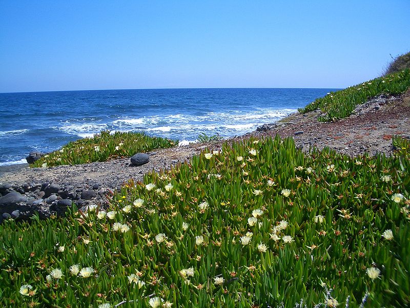 File:Sea Santorin.JPG