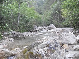 Sentier au cascades - panoramio.jpg