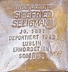 Siegfried Seligmann, Fritz-Kalle-Str. 14, Wiesbaden-Südost.jpg