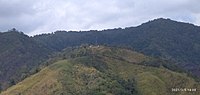 Miniatura para Parque nacional Sierra de Perijá