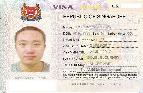 Нужна ли виза в сингапур 2024. Сингапурская виза. Singapore visa.
