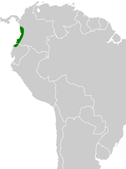 Distribución geográfica del hormiguero colimocho.