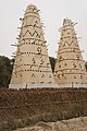 Siwan pigeon towers