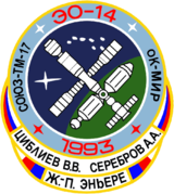 Soyuz TM-17 patch.png