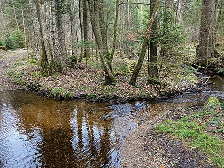 Speckbach (Habichauer Bach)