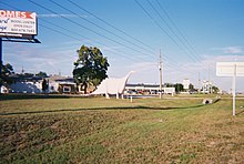 Spring Hill's Pink Dinosaur from US 19 Drainage Ditch.jpg