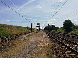 Station Niedźwiedź