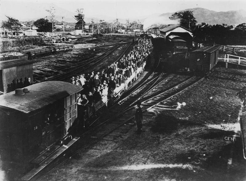 File:StateLibQld 1 114344 Passengers on a train in the railway yards at Cairns, ca. 1911.jpg