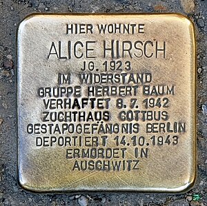 Alice Hirsch: Leben, Weblinks, Literatur