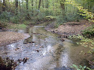 Zusammenfluss von Westerholter Bach (Mitte) und Schnakenbach (links) kurz vor der Mündung in den Ölbach