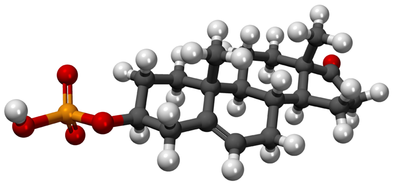 File:Sulfato de dehidroepiandrosterona3D.png