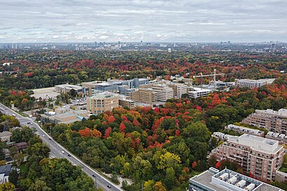 How to get to Odette Cancer Centre with public transit - About the place