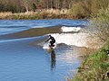 Dieser Mann surft auf dem Fluss Severn in England.