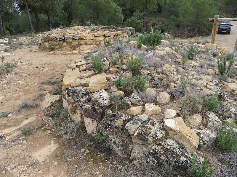 File:Túmulos funerarios ibéricos del Regall en Torre del Compte (Teruel).jpg