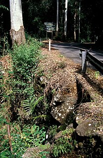 <span class="mw-page-title-main">Tamborine Mountain Road</span> Historic site in Queensland, Australia