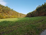 ~ 3000. Datei – Das Tal zwischen Edelberg und Hammberg bei Tauberbischofsheim