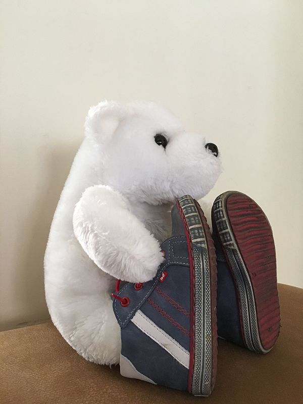 File:Teddy bear in child sneakers 2016.jpg