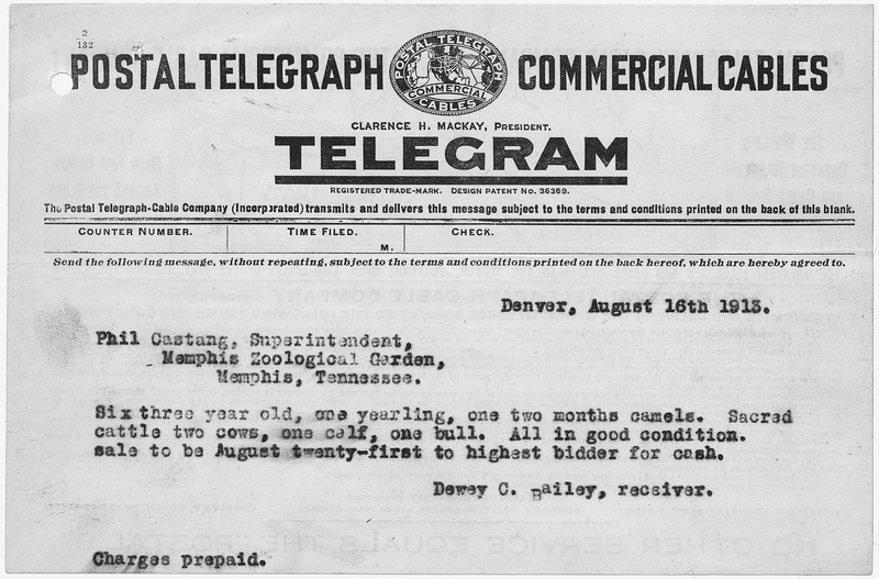 File:Telegram to Memphis Zoological Garden announcing sale of livestock from "Buffalo Bill's" Wild West Show. - NARA - 292731.tif