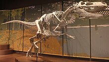 Tellus Appalachiosaurus.jpg