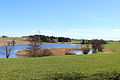 Čeština: Jižní část Starého rybníku na Teplé v městě Teplá English: South part of Starý Pond on Teplá River in Teplá, Czech Republic