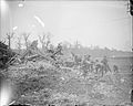 The Battle of the Somme, July-november 1916 Q3984.jpg