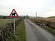 In Scotland, Cattle Crossing sign vandal-modified to warn against elephants.