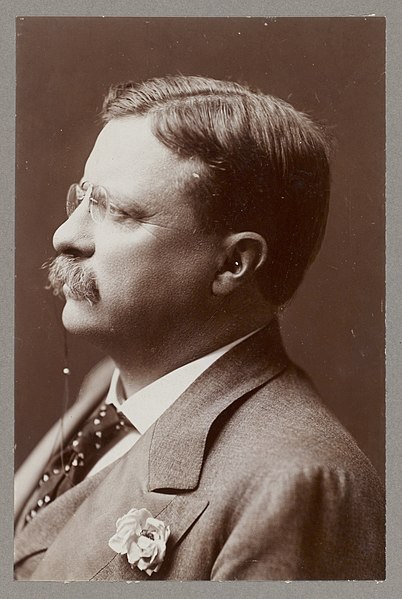 File:Theodore Roosevelt, Pres., head-and-shoulders portrait, facing left LCCN2013649816.jpg