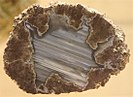 Thunderegg