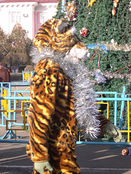 File:Tiger (5401795555).jpg