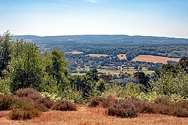 Tillingbourne valley panorama from St Martha's Hill