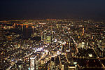 Tokyo aerial night.jpg