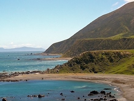 Quaternary marine terraces at Tongue Point, New Zealand