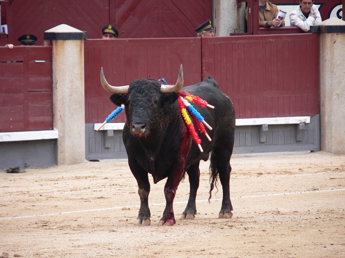 Las banderillas – Los Sabios del Toreo