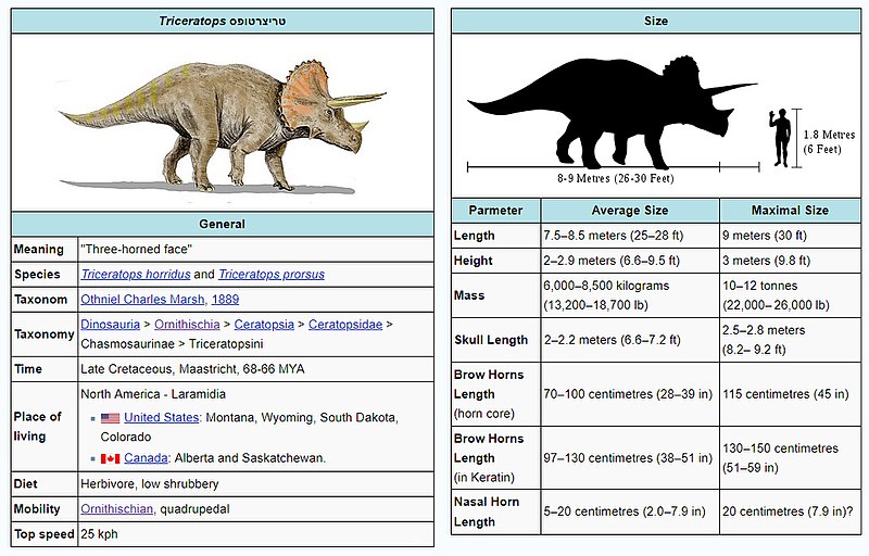 File:Triceratops-Information-Table-0001.jpg